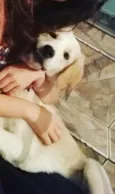 Polar