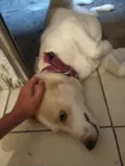 Polar