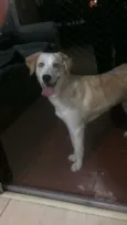 Polar