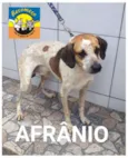 AFRÂNIO