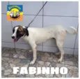 FABINHO