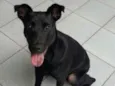 Nori
