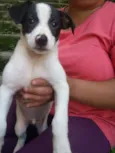 Zeus Bebezinho