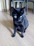 Tino