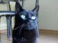 Tino