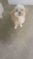 Rubi