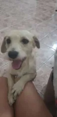 Tento