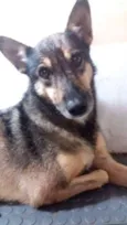 Síria