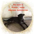 Preto , Pãozinho 