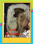 Preto