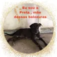 Preto