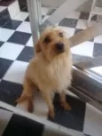 Marley