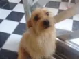 Marley