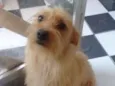 Marley