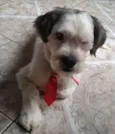 Mike