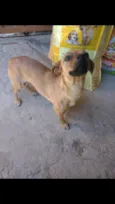 Zuma