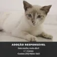 sem nome