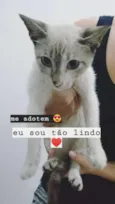 sem nome
