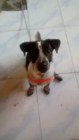 Ruby