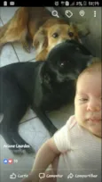 Lilica e Nega