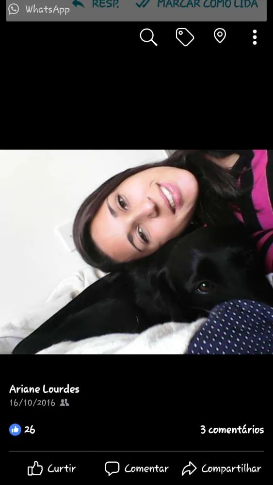 Cachorro ra a SRD idade 3 anos nome Lilica e Nega