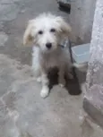 Bob