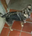 nao sei