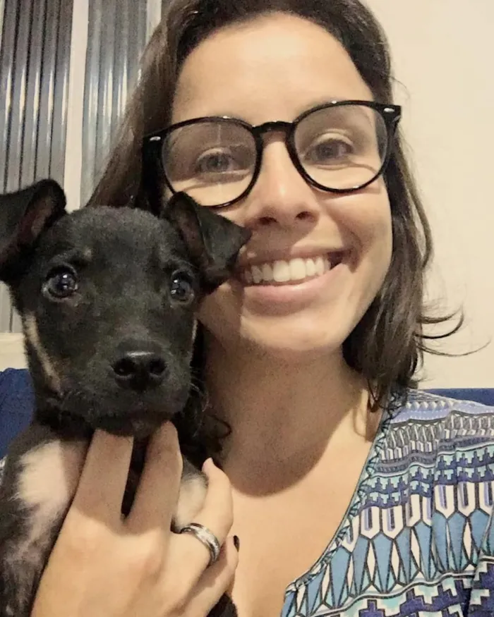 Cachorro ra a Vira-lata idade 2 a 6 meses nome Luci