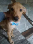 Romeu e Julieta