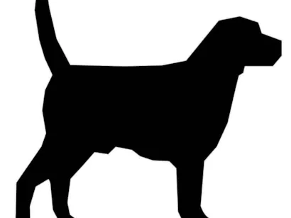 Cachorro raça srd idade 2 a 6 meses nome preta