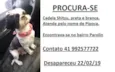 PIPOCA