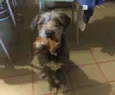 Kiko