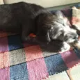 Kiko