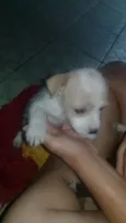 Não tem nome ainda 