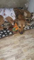 Laila