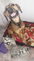 Laila