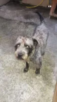 Billy