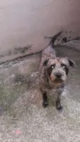 Billy