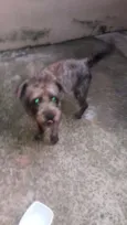 Billy