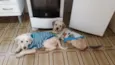 Bili e Bobby