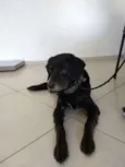Sid