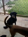 Sid