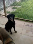 Sid