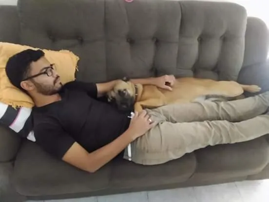 Cachorro ra a Misturado idade 1 ano nome Max