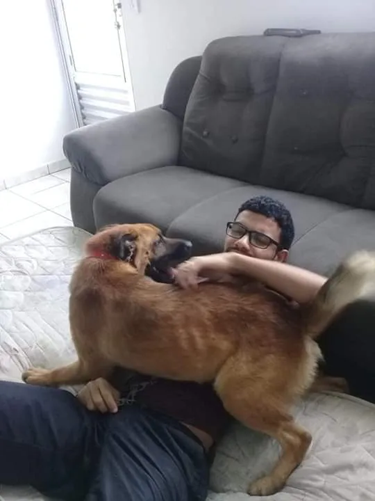 Cachorro ra a Misturado idade 1 ano nome Max