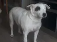 Nina