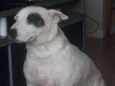 Nina