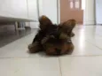 Niki