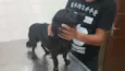 Não sei