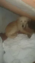 Nao sei o nome